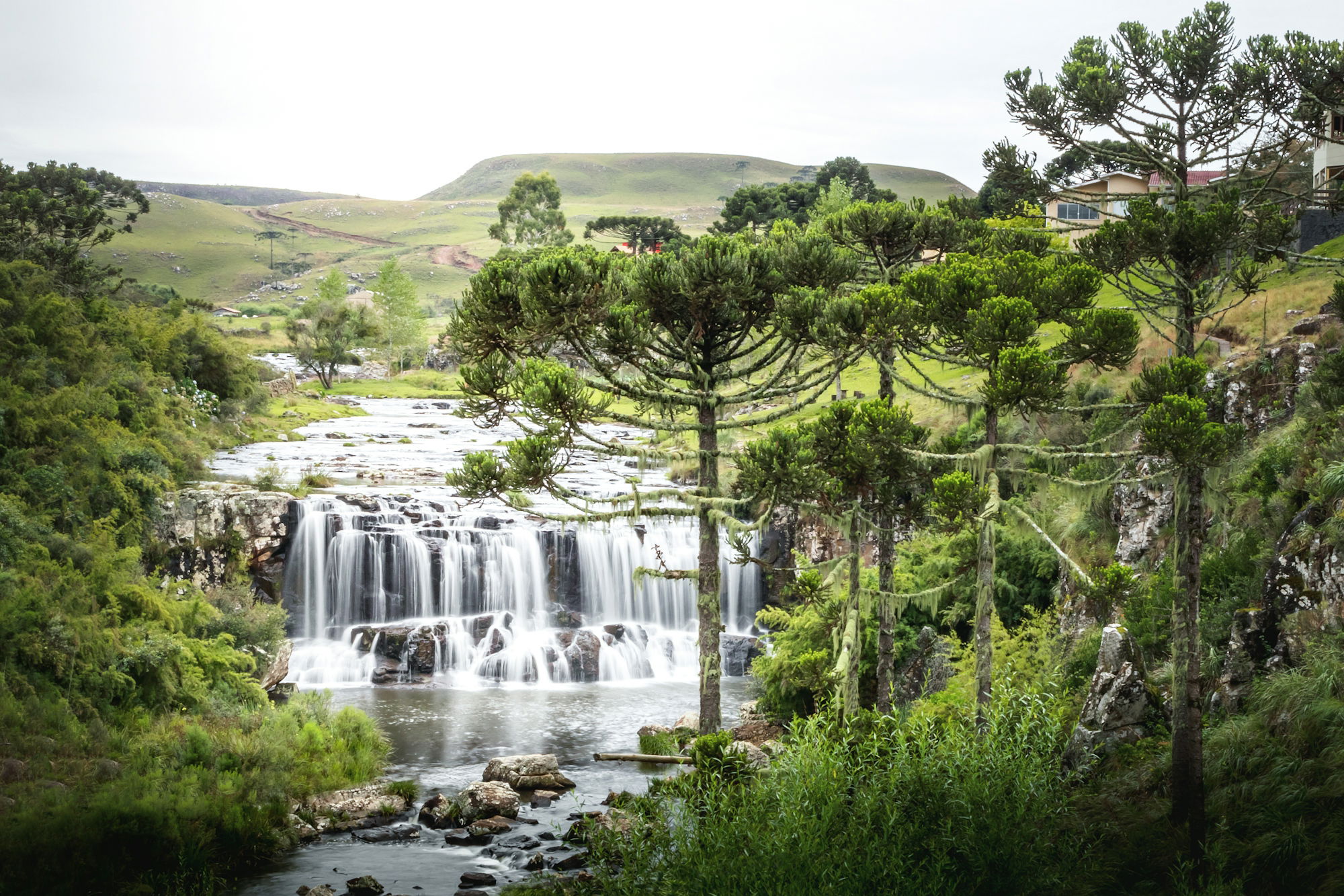 green-trees-near-waterfalls-during-daytime.jpg green trees near waterfalls during daytime